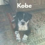 seth hicks - @seth._.hicks - Instagram
