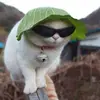 Seth Hicks - @imseth.hicks - TikTok
