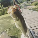 seth higdon - @higdonseth917 - Instagram