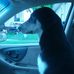 Seth Higginbotham - Facebook