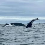 Seth William Walton - @seth_hilton19 - Instagram