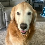 Seth hodge - @sethhodge33 - Instagram