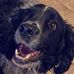 Seth Schild-Hollenbeck - Facebook