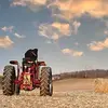 Seth Holler - @sethholler - TikTok