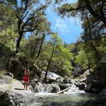 Seth Holstein - @seth_holstein45 - Instagram