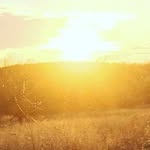 Seth William Holster - @seth.holster11 - Instagram