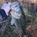 Seth Hood - Facebook