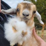 Seth & Hope - Purdon Farm - @purdonfarm - Instagram