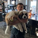 Seth Horn - @sethhorn20 - Instagram