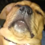 Seth Horn - @_seth_horn_ - Instagram