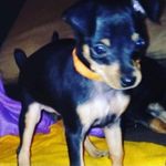 Seth Hough - @sethhough745 - Instagram