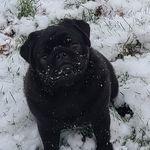 Seth Hudson - @seth.hudson.963 - Instagram