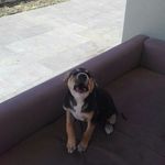 Seth Humphries - @seth.humphries.9275 - Instagram
