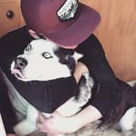Seth Jeffrey - @theadventuresofsj - Instagram