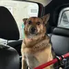 Jacobsethkerr - @jacobsethkerr - TikTok