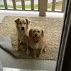 Seth Kerr - @seth.kerr5 - TikTok