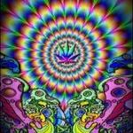 Seth kerr - @sethkerr2012 - Instagram