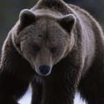 @seth_kiser_42 - Instagram