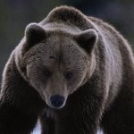 @sethkiser42 - Instagram