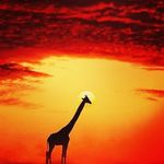 SETH Kline - @29skline - Instagram