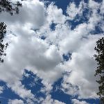 Seth Knox - @seth_the_stupendous - Instagram