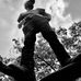 Seth Koster - Facebook