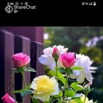 Kottla Setha Setha - @kottlasethasetha - Instagram