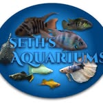 Seth Kruse - @seths_aquariums - Instagram
