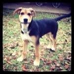 Seth Kuhlmann - @sethkuhlmann1 - Instagram
