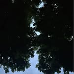 Seth Kyle Yoder - @seth.kyle.908 - Instagram