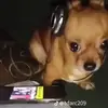 hi - @lacey.rudi.seth - TikTok