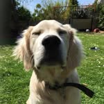 @seth_and_lacey_ - Instagram