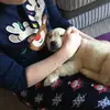 Seth_lacey_xx - @seth_lacey_xx - TikTok