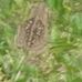 Seth Lackey - Facebook