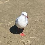 Seth - @sethlangford22 - Instagram