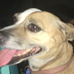 seth langley - @sethlangley38 - Instagram