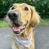 Steph - @steph.langlois - TikTok