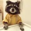 Seth557 - @seth.planning - TikTok