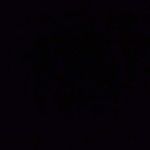 Seth Sanders - @sethlarkinsanders - Instagram