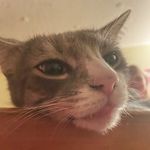Seth - @sethlarkin - Instagram