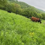 Seth Lauer - @sethlauer - Instagram