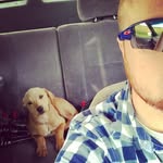 Seth Laurence - @sethalaurence - Instagram