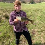 Seth Lawson - @crank_bait_fishing_ - Instagram