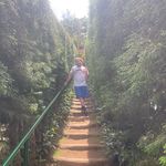 Seth Layton - @28layton - Instagram