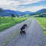 Seth Leach - @sethleach325 - Instagram
