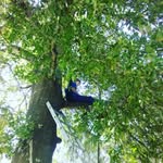 Seth leblanc - @sethgang389 - Instagram