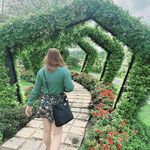 Seth Cruz Leis - @sethleis - Instagram