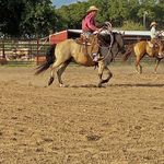 seth leisher - @sethleisher - Instagram