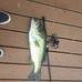 Seth Lenox - Facebook