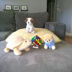 Seth Leon - @seth_the_beastman - Instagram
